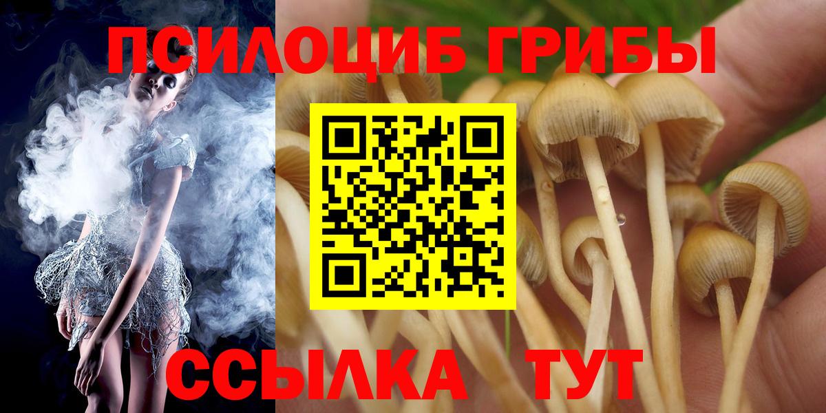 Галлюциногенные грибы прущие грибы Саров